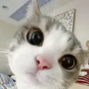 স্টিকার