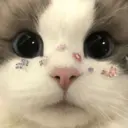 স্টিকার