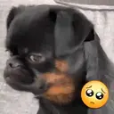 สติกเกอร์