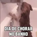 สติกเกอร์