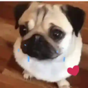 สติกเกอร์