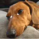 สติกเกอร์