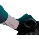 ஸ்டிக்கர்