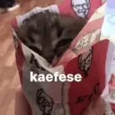 ஸ்டிக்கர்