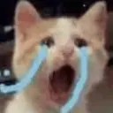 Կպչուն պիտակ