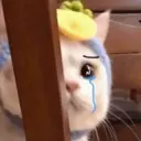 Կպչուն պիտակ