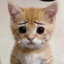 Կպչուն պիտակ