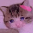 Կպչուն պիտակ