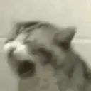 Կպչուն պիտակ