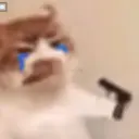 Կպչուն պիտակ