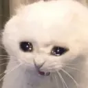 ස්ටිකර්