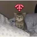 ஸ்டிக்கர்