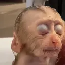 ස්ටිකර්