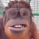 ස්ටිකර්