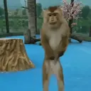 ස්ටිකර්