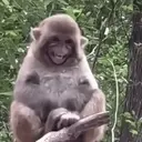 ස්ටිකර්