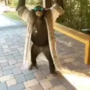 ස්ටිකර්