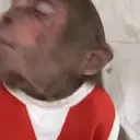 ස්ටිකර්