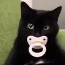 สติกเกอร์