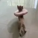 สติกเกอร์