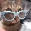 สติกเกอร์