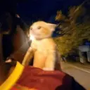 สติกเกอร์