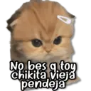 Կպչուն պիտակ