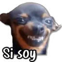 Կպչուն պիտակ