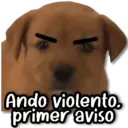 Կպչուն պիտակ