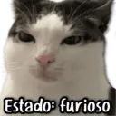 Կպչուն պիտակ