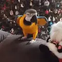 స్టికర్