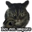 ස්ටිකර්