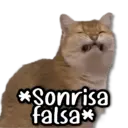 ස්ටිකර්