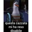 Կպչուն պիտակ