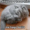 Կպչուն պիտակ