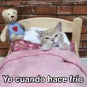 Կպչուն պիտակ