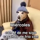 Կպչուն պիտակ