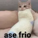 Կպչուն պիտակ