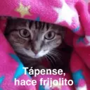 Կպչուն պիտակ