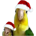 ස්ටිකර්