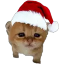 ස්ටිකර්