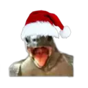 ස්ටිකර්