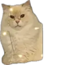 ஸ்டிக்கர்