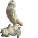 ஸ்டிக்கர்