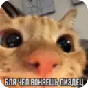 ස්ටිකර්