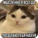 ස්ටිකර්