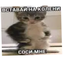 ස්ටිකර්