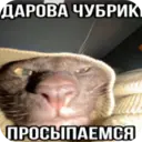 ස්ටිකර්