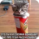 ස්ටිකර්