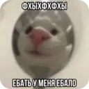 ස්ටිකර්